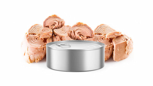 قیمت استثنایی تن ماهی